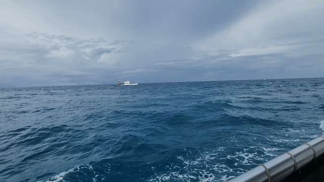 거북이스노쿨링파도