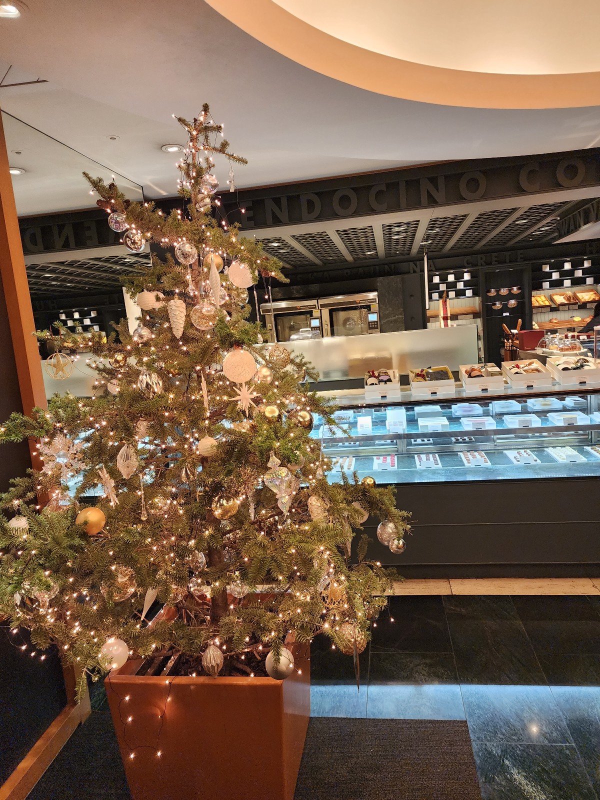 초입의 크리스마스 트리