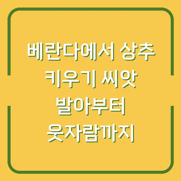 베란다에서 상추 키우기 씨앗 발아부터 웃자람까지