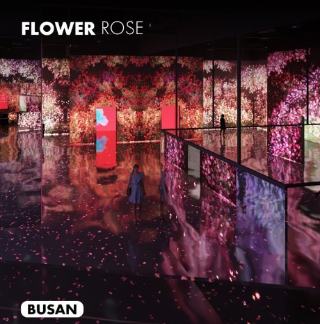 아르떼뮤지엄-부산