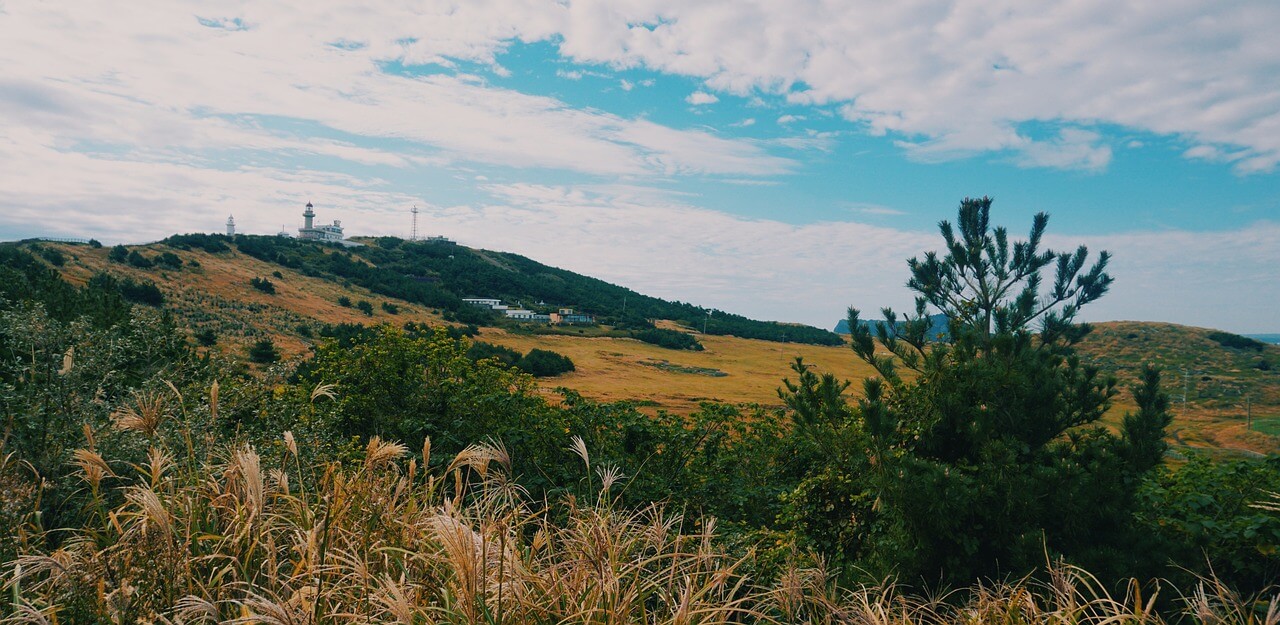 아스퍼거 증후군 원인 증상 치료방법