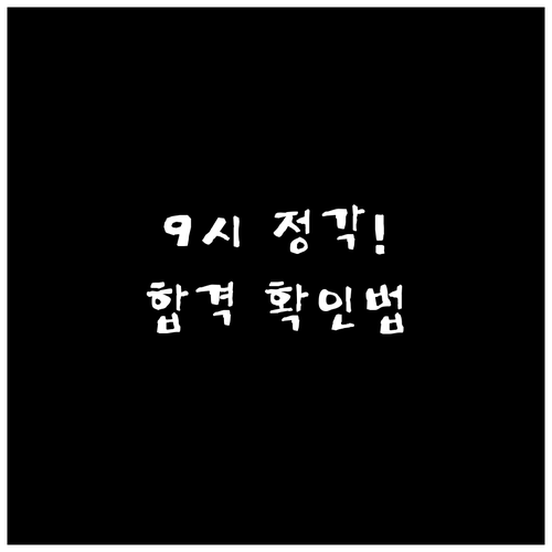 기능장 실기 합격자 발표일 9시 정각..