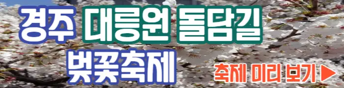 경주 대릉원 돌담길 벚꽃축제_1