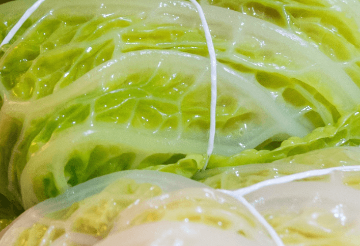 위 건강 회복에 좋은 식단