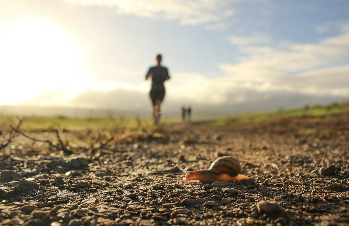 슬로우 러닝(Slow Running) – 유럽에서 유행하는 천천히 달리는 운동법