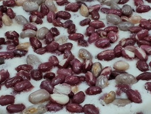 한국의 떡 종류 당콩떡