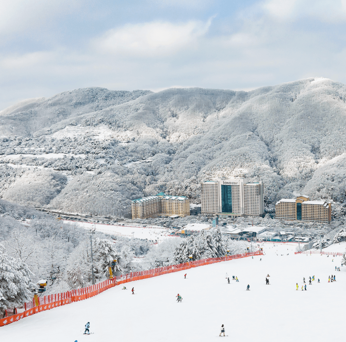 스키장, 비발디파크