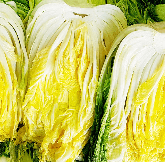 해남 절임배추 20kg 사전예약 가격비교