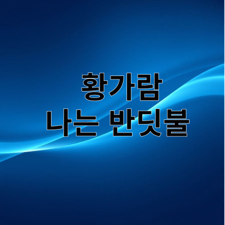 나는 반딧불