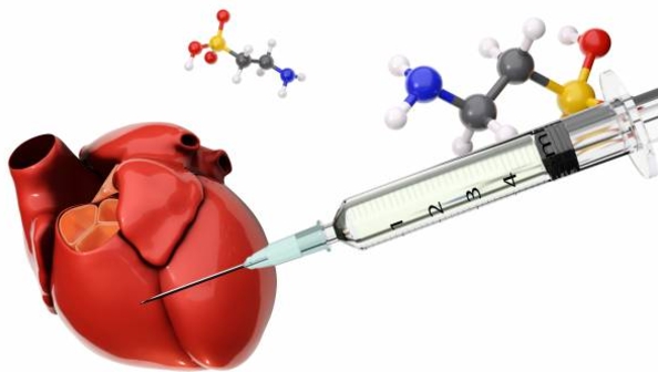 타우린 효능 총정리