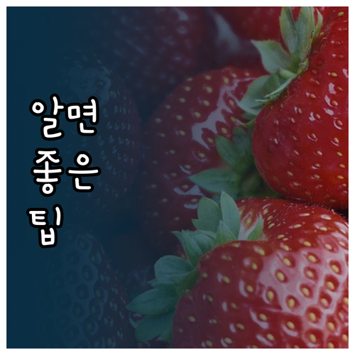 작심삼일 없는 삶! 목표 관리법 등록..