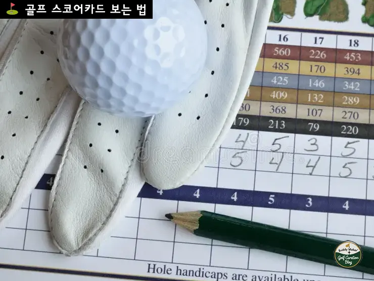 골프 초보라면 꼭 알아야 할 스코어카드와 매너