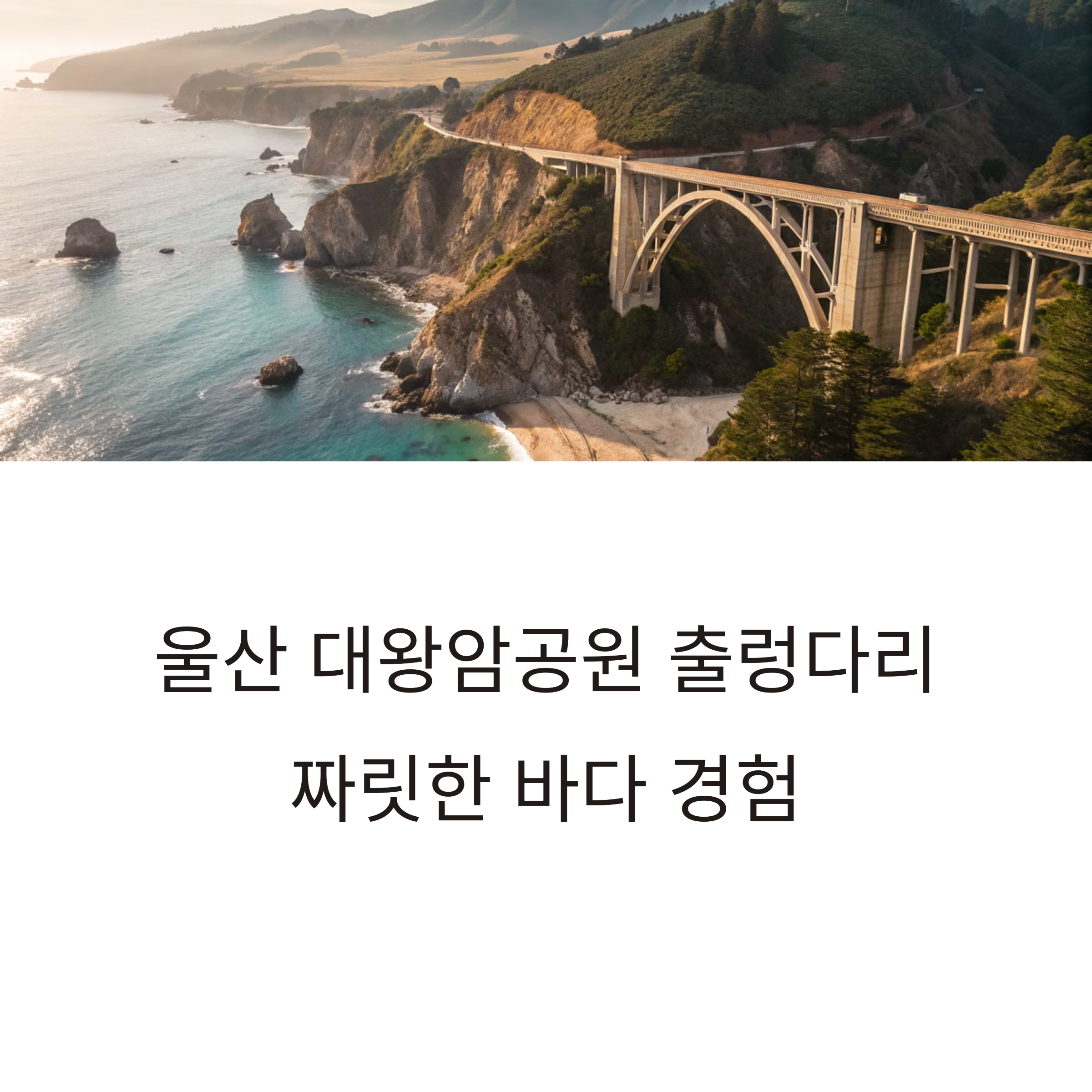 울산 대왕암공원 출렁다리