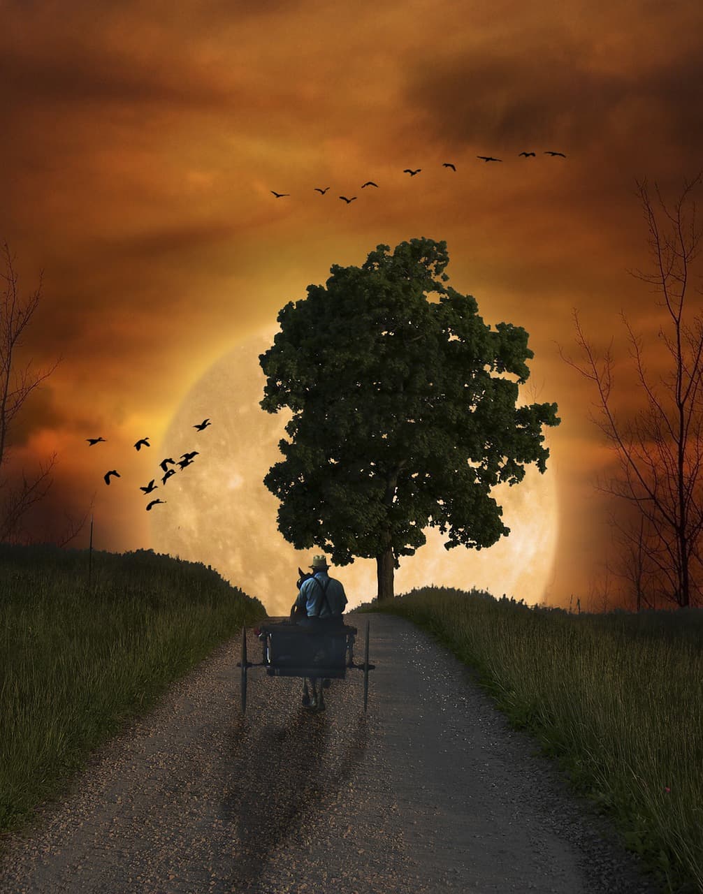 전통적인 화법은 거부한다, 인상파 미술의 역사