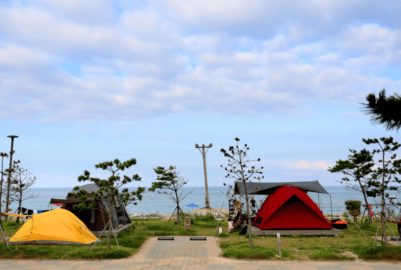 요즘 뜨는 국내 다시 찾는 여행지 5곳