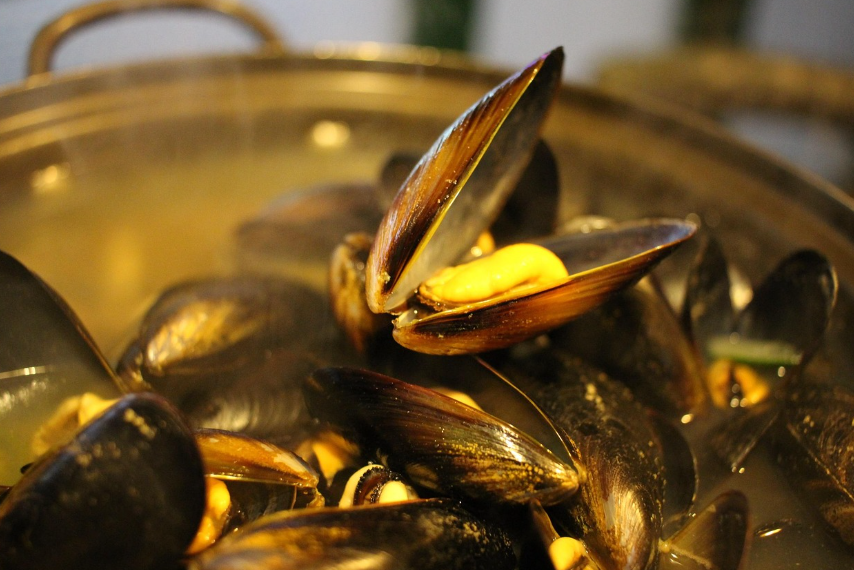 추위를 녹이는 겨울의 따뜻한 안주