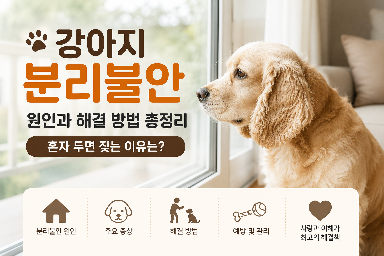 강아지 분리불안