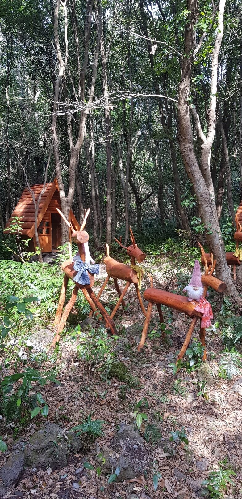 정부 지원 시니어 교육, 지금 바로 신청하세요!(경기도 성남편)