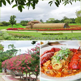 순천 여행코스 추천 순천만습지와 근처 맛집 일정 정리_8