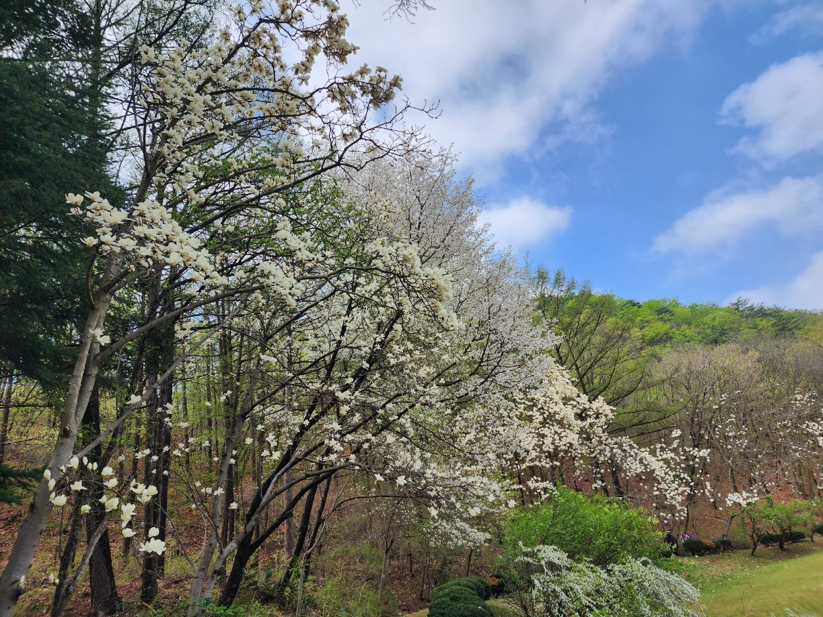 안양 수목원 이미지 사진