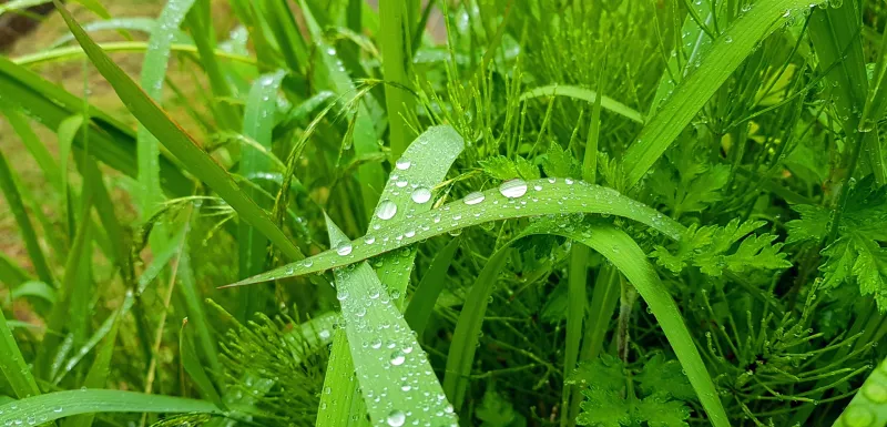 거창 수승대 둘레길