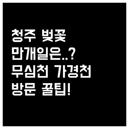 청주 흥덕구 벚꽃 만개 예상일과 무심..