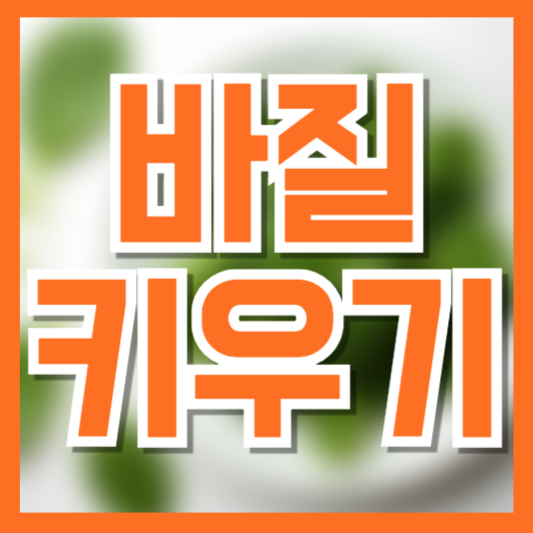 바질 키우기 완벽 가이드 ❘ 씨앗부터 수확까지 초보도 쉽게!