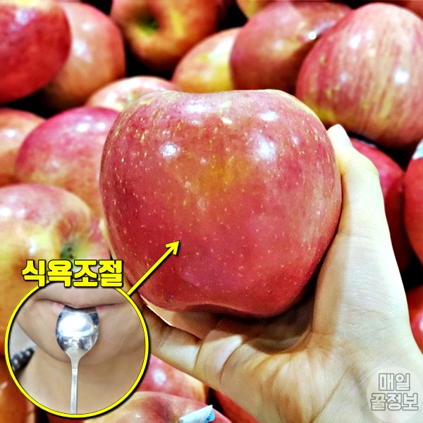 간헐적 단식 식단표 필수 식욕억제 음식 사과,팁줌