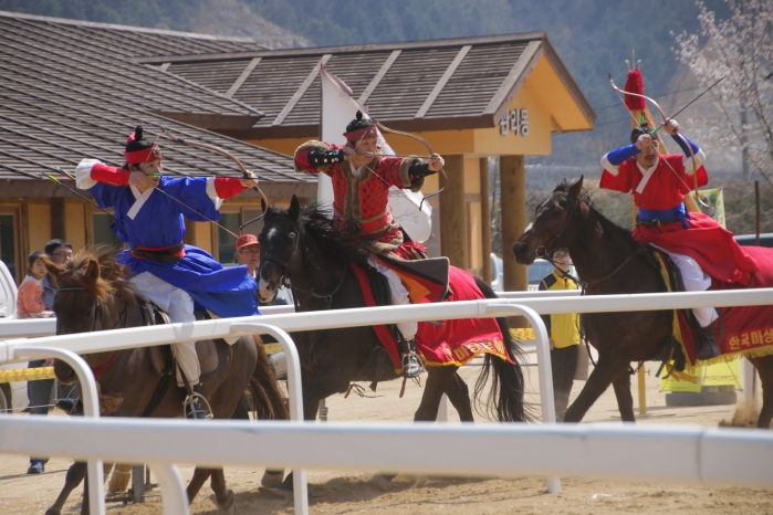 고령대가야축제 마상무예공연