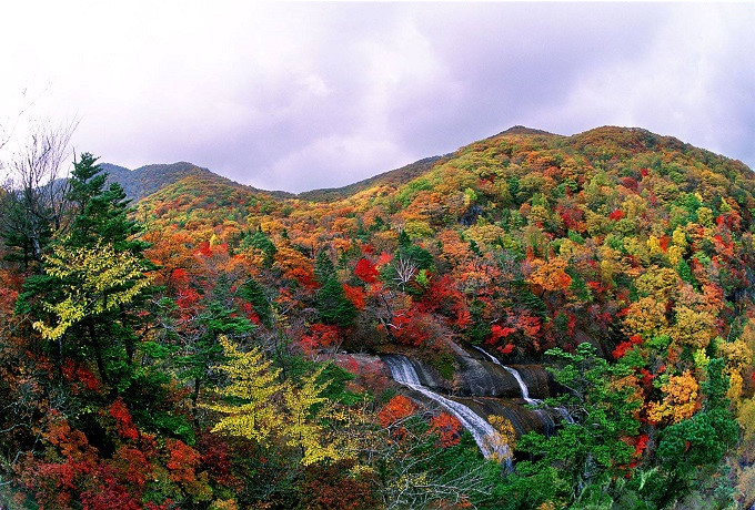 지리산 단풍시기