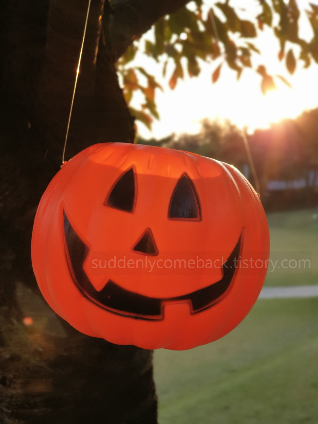 할로윈데이-호박 장식