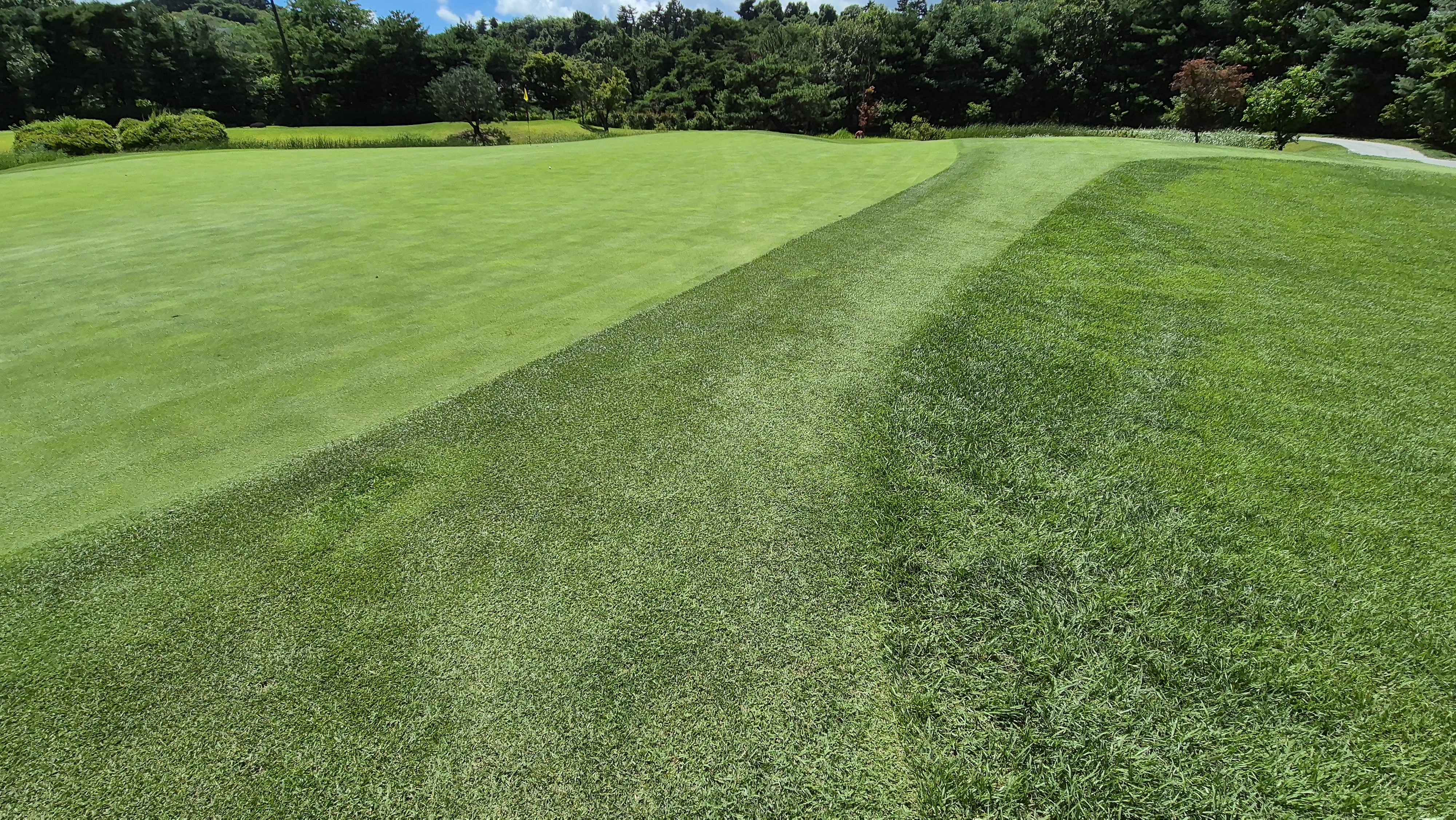 SG 아름다운cc 라운드 후기