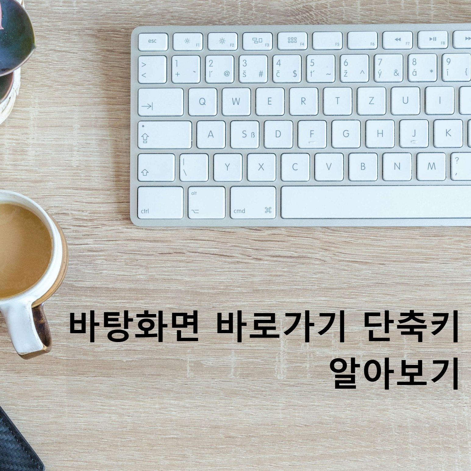 윈도우11 바탕화면 바로가기 단축키