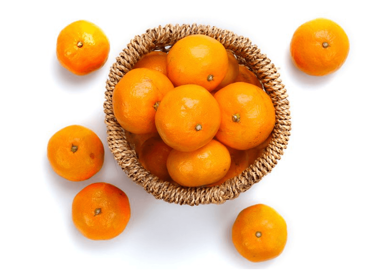 [겨울철 별미] 간단명료! 감귤의 종류 및 보관방법