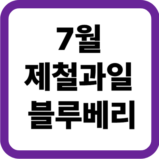 7월 제철과일 블루베리, 눈 건강과 피부를 한 번에!