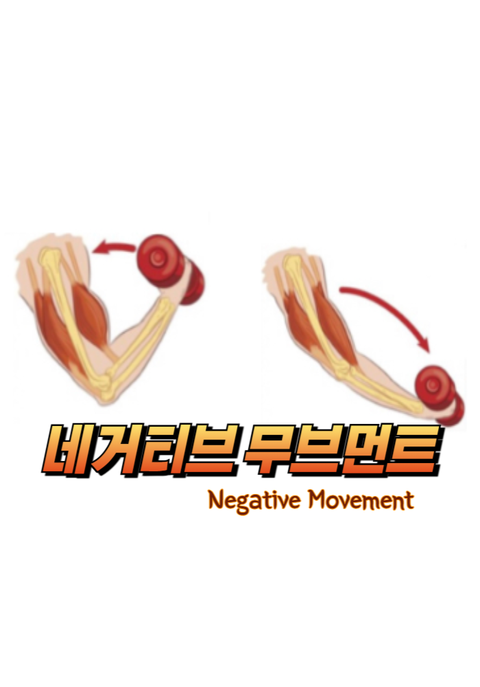 1.네거티브 무브먼트 운동(Negative Movement Training)