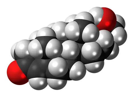 스테로이드 부작용