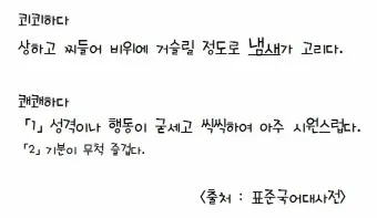 쾨쾨하다 쾌쾌하다 퀘퀘하다 맞춤법 사용 예문_14