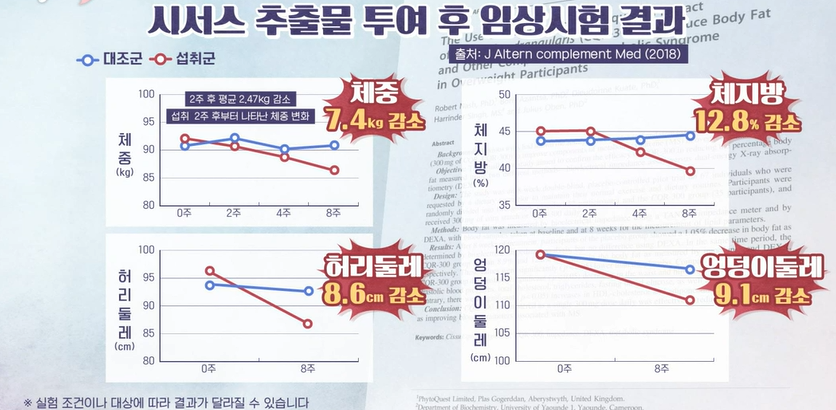 시서스 효능