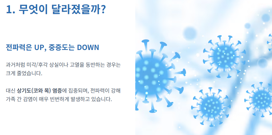 코로나 재유행 증상