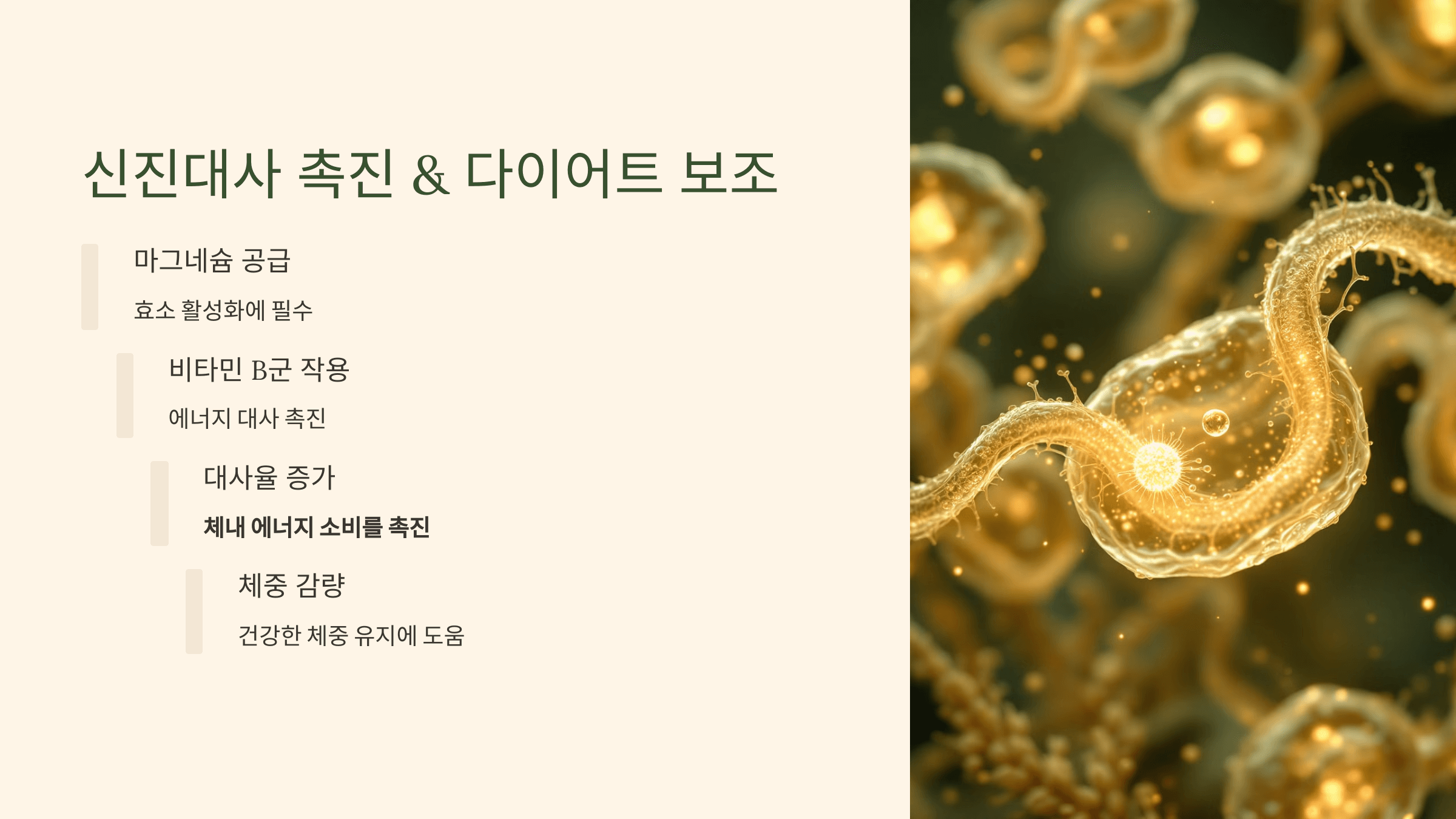 카무트 쌀 사진입니다.