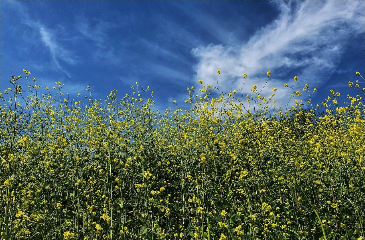요즘뜨는 창업아이템