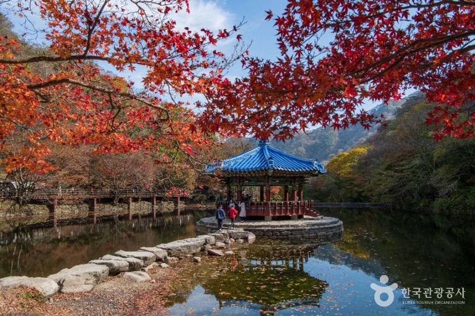 내장산 우화정 연못 가을 풍경
