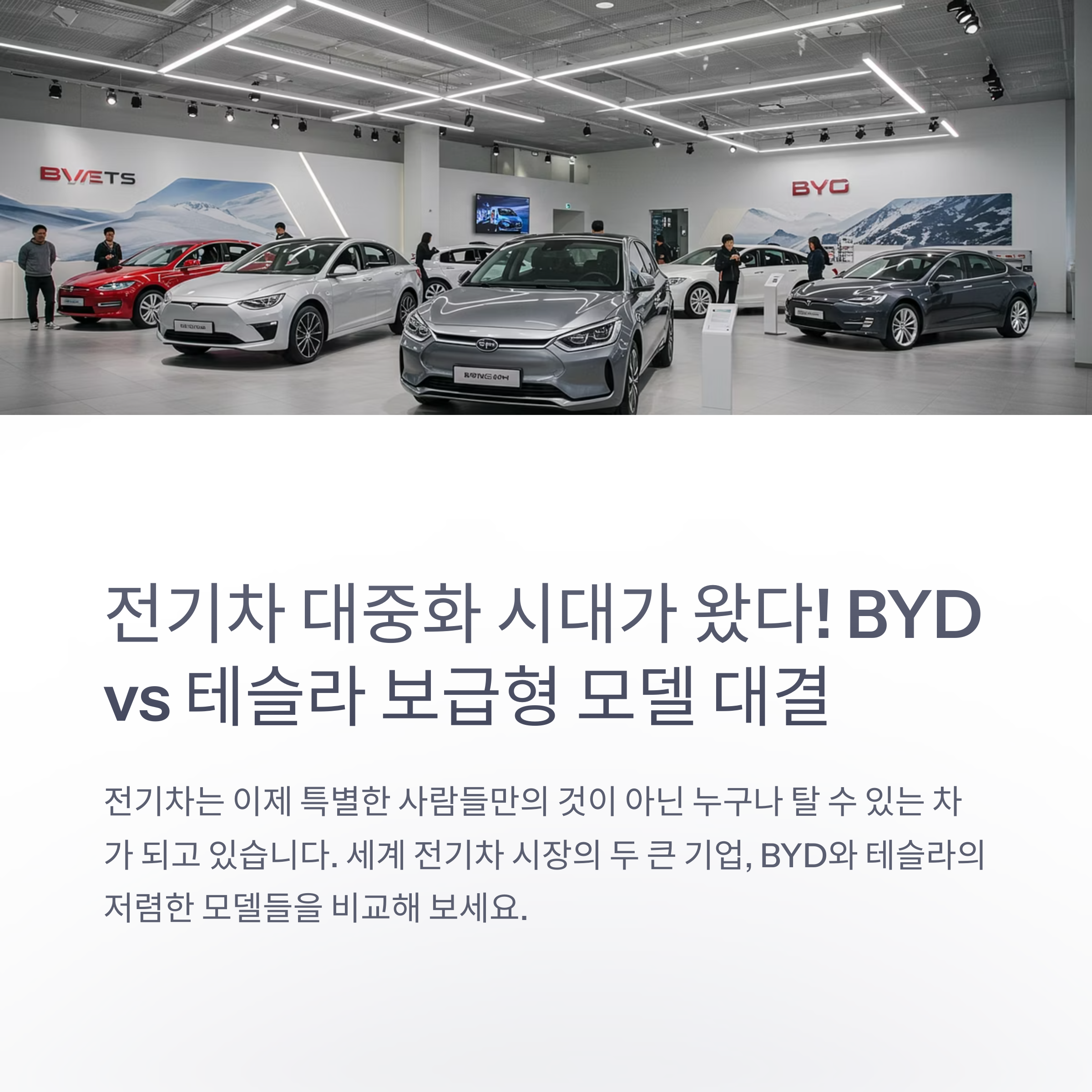 전기차 가격 대중화 시대, BYD와 테슬라 보급형 모델 경쟁의 모든 것