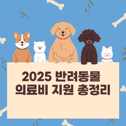 [2025년 최신] 반려동물 의료비 지원제도 – 꼭 신청하세요! (지자체별 정리)