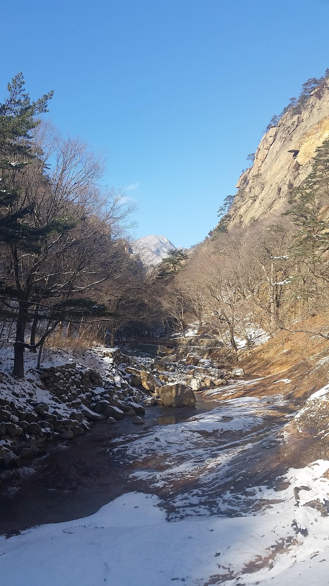 강원도 겨울 국내여행 추천 지역 총정리