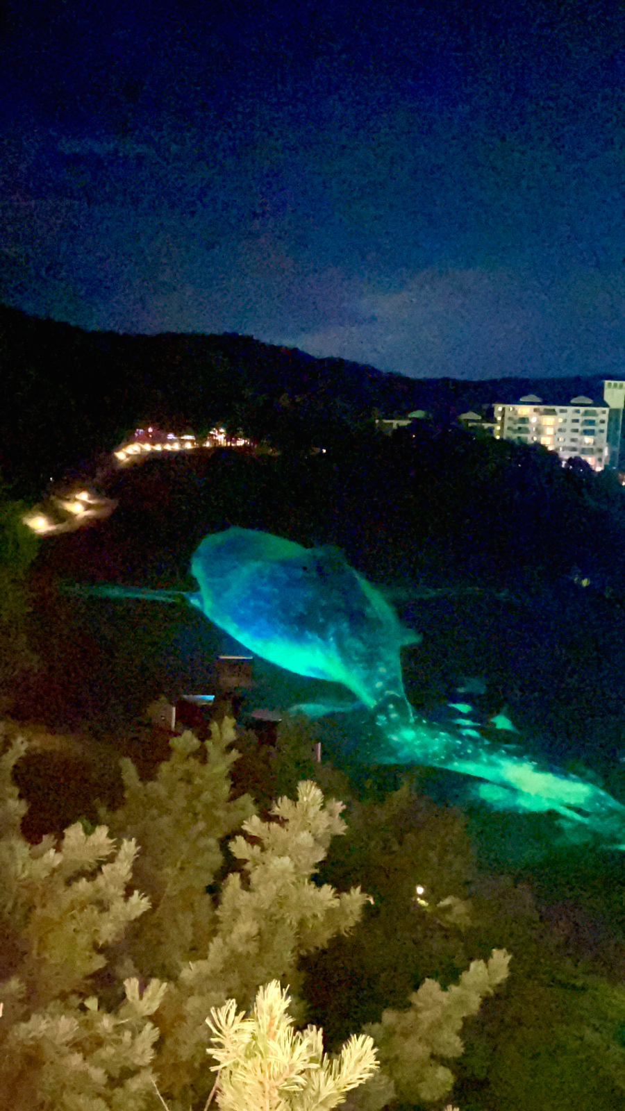 오크밸리CC 별빛 파도의 노래 감상7