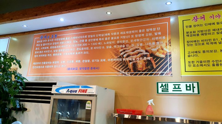 장어의-효능