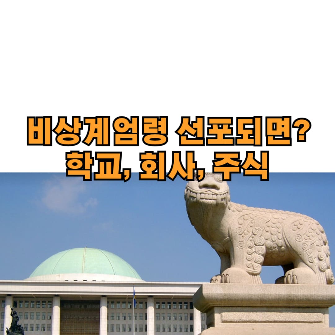 계엄령선포 시 바뀌는 점
