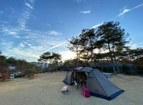 숲속의베리팜